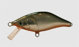 Solist Shad50